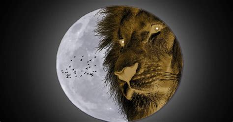 5 şubat aslan dolunayı burçlara etkisi